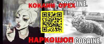 крисы Жуковский