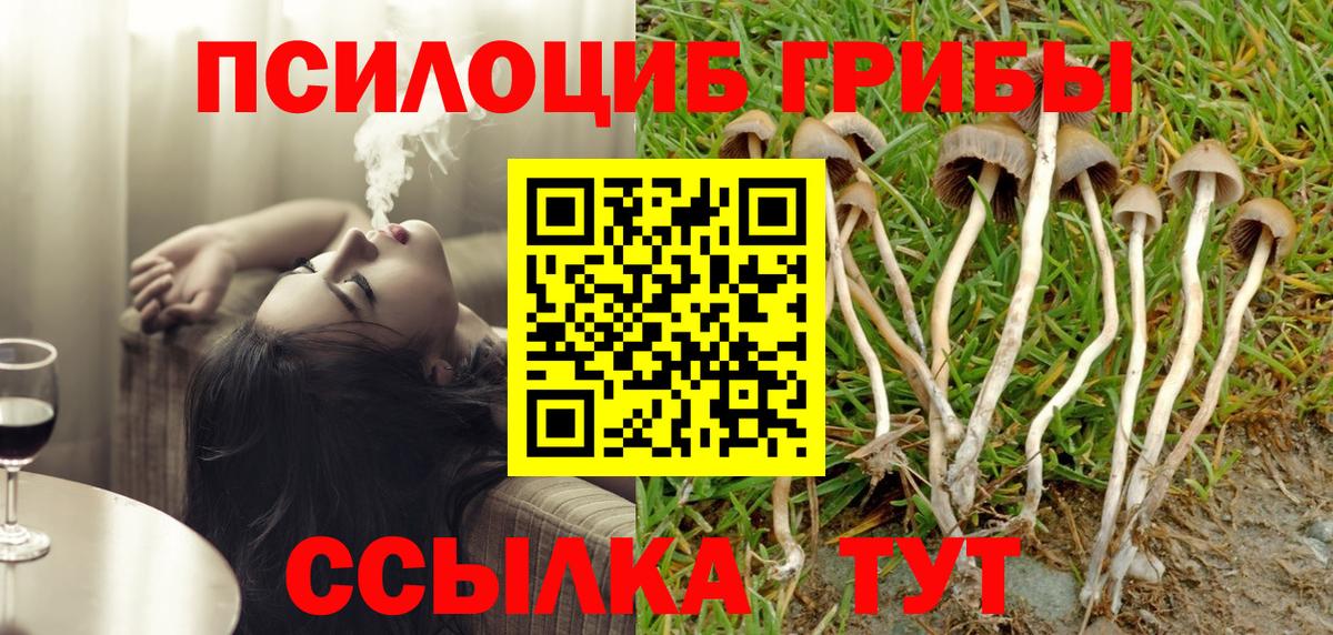 Псилоцибиновые грибы Cubensis Назарово