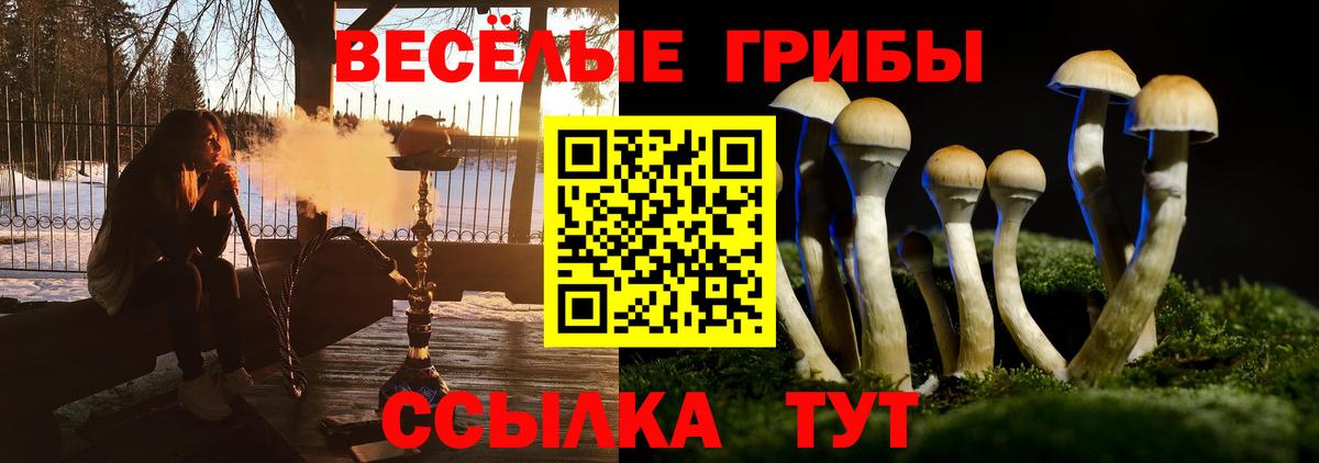 Галлюциногенные грибы Psilocybe  Вход с VPN  Назарово 